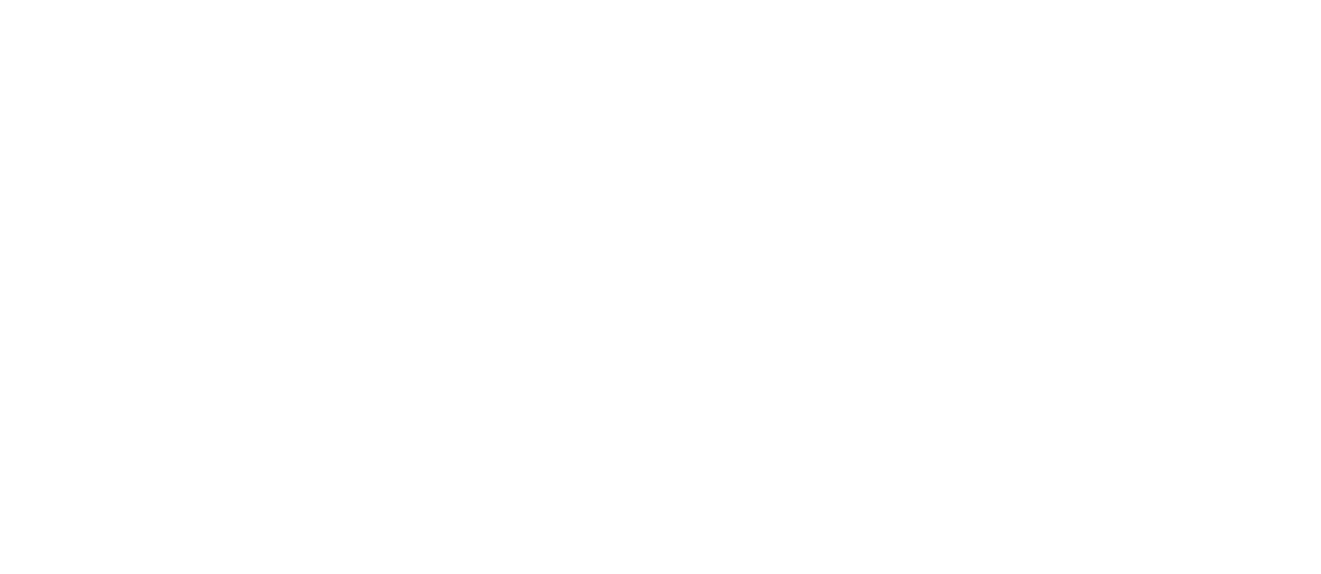 Municipal Mutual Insurance Company of WV