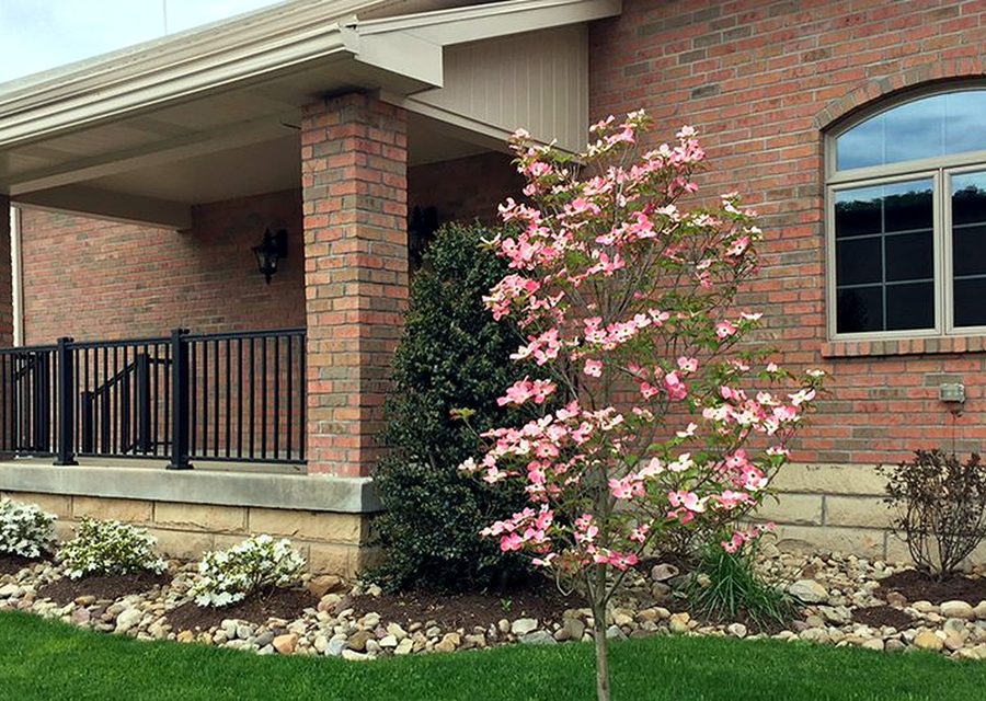 The porch of the Municipal Mutual home office in spring